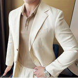 Bonsir Linen Thin Mens Suit 2 Pieces (Jacket+Pants) Italian Napoli Light Breathable Trendy Jacket Texture Back Double Slit Dress Suit