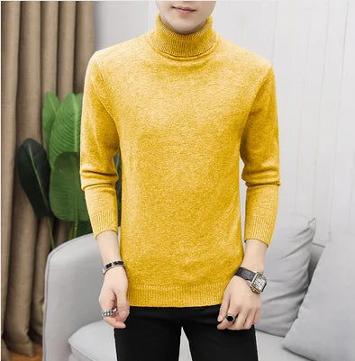 Bonsir Fall/Winter Men's Turtleneck Sweater Fashion Striped Solid Color Warm Knitted Sweater Men Double Collar Slim Fit Sweaters