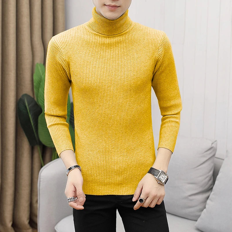 Bonsir Fall/Winter Men's Turtleneck Sweater Fashion Striped Solid Color Warm Knitted Sweater Men Double Collar Slim Fit Sweaters