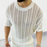 BONSIR  -  Spring Knitting Custom Tees Sweater For Men Slim Fit O-Neck Solid Hollow Mesh Man Pullover Autumn Long Sleeve Stretch Tops