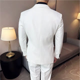 Bonsir New Men Suit Formal Business Work Wedding Stage Tuxedo Fashion Men Slim Social Formal Suit 3 Pcs Set (Jacket + Vest + Pant)