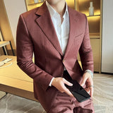 Bonsir Linen Thin Mens Suit 2 Pieces (Jacket+Pants) Italian Napoli Light Breathable Trendy Jacket Texture Back Double Slit Dress Suit